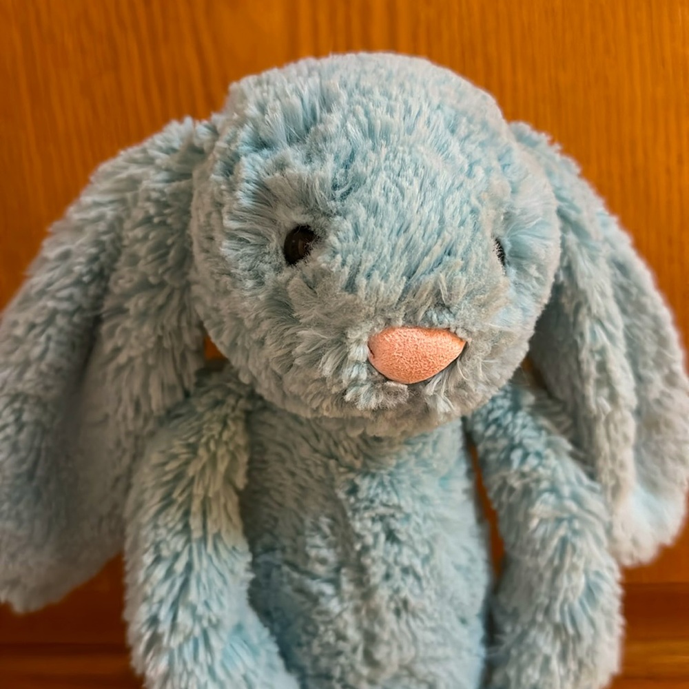 π©΅ RETIRED JELLYCAT AQUA BUNNY RABBIT MEDIUM BASHFUL SPRING TEAL BLUE - Picture 1 of 7